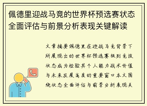 佩德里迎战马竞的世界杯预选赛状态全面评估与前景分析表现关键解读